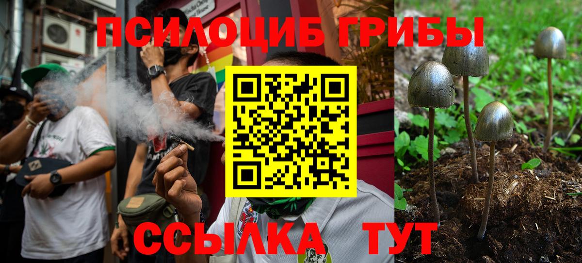 Галлюциногенные грибы Psilocybine cubensis Крымск
