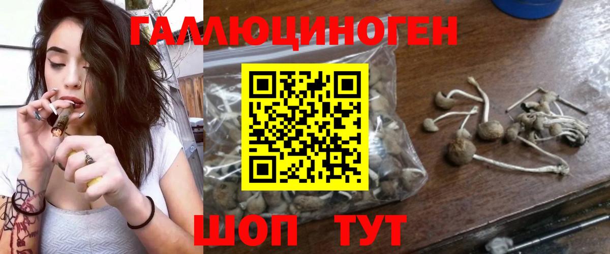 Псилоцибиновые грибы GOLDEN TEACHER  Псилоцибиновые грибы Magic Shrooms  Вход с VPN  Крымск 